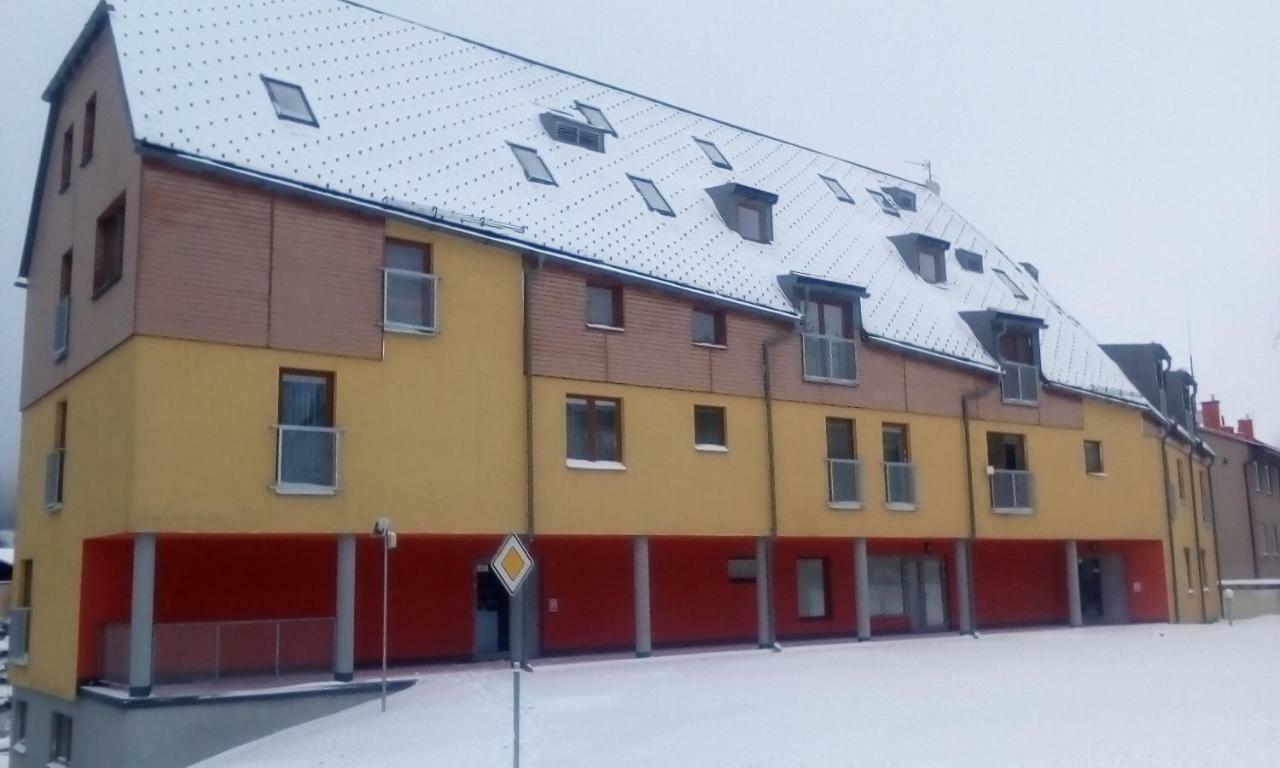Апартаменты Apartman V Destnem Дештне в Орлицких горах Экстерьер фото