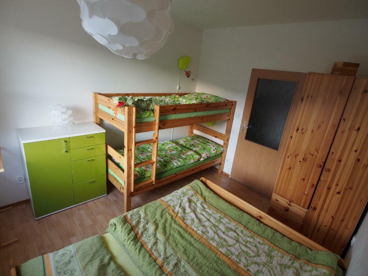 Апартаменты Apartman V Destnem Дештне в Орлицких горах Экстерьер фото