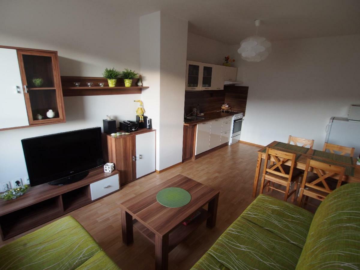 Апартаменты Apartman V Destnem Дештне в Орлицких горах Экстерьер фото