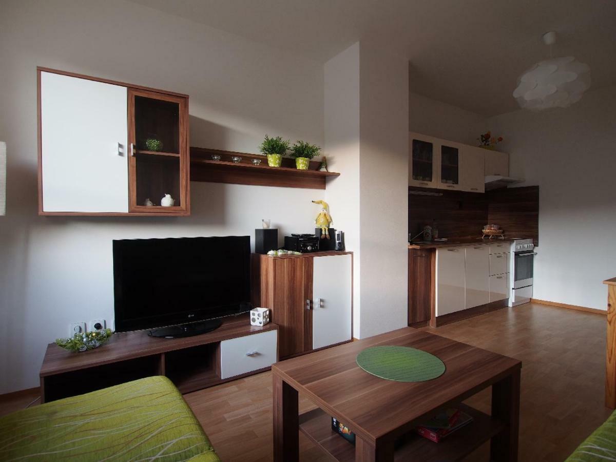 Апартаменты Apartman V Destnem Дештне в Орлицких горах Экстерьер фото