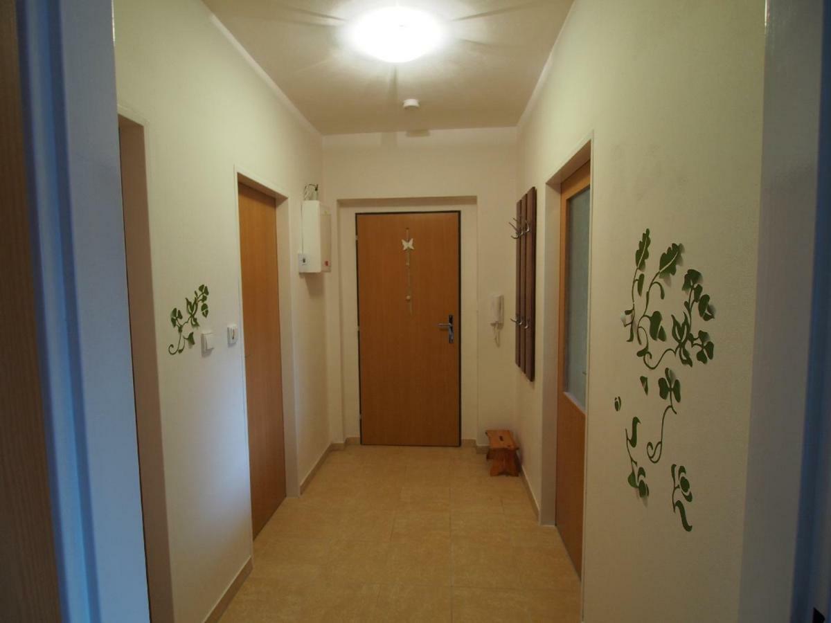 Апартаменты Apartman V Destnem Дештне в Орлицких горах Экстерьер фото